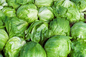 Identifican lechuga de Taco Bell como fuente de parásito que causa diarrea explosiva