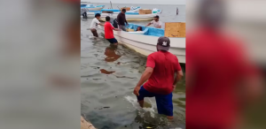 Localizan en el mar a dos pescadores desaparecidos desde el lunes en Tonalá, Chiapas
