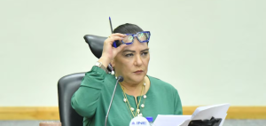 Renuncian otros 12 cercanos a Taddei; INE analiza facultades para denunciar a exconsejera presidenta